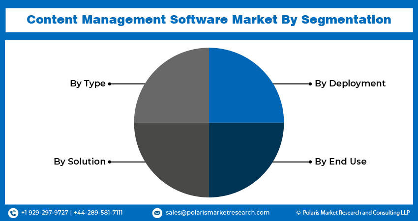 Content Management Software Seg